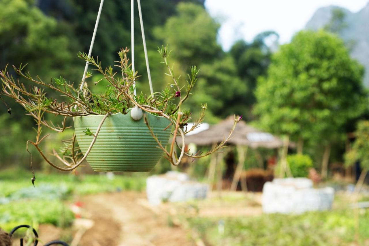 Nirvana Organic Farm Inn Yangshuo Luaran gambar